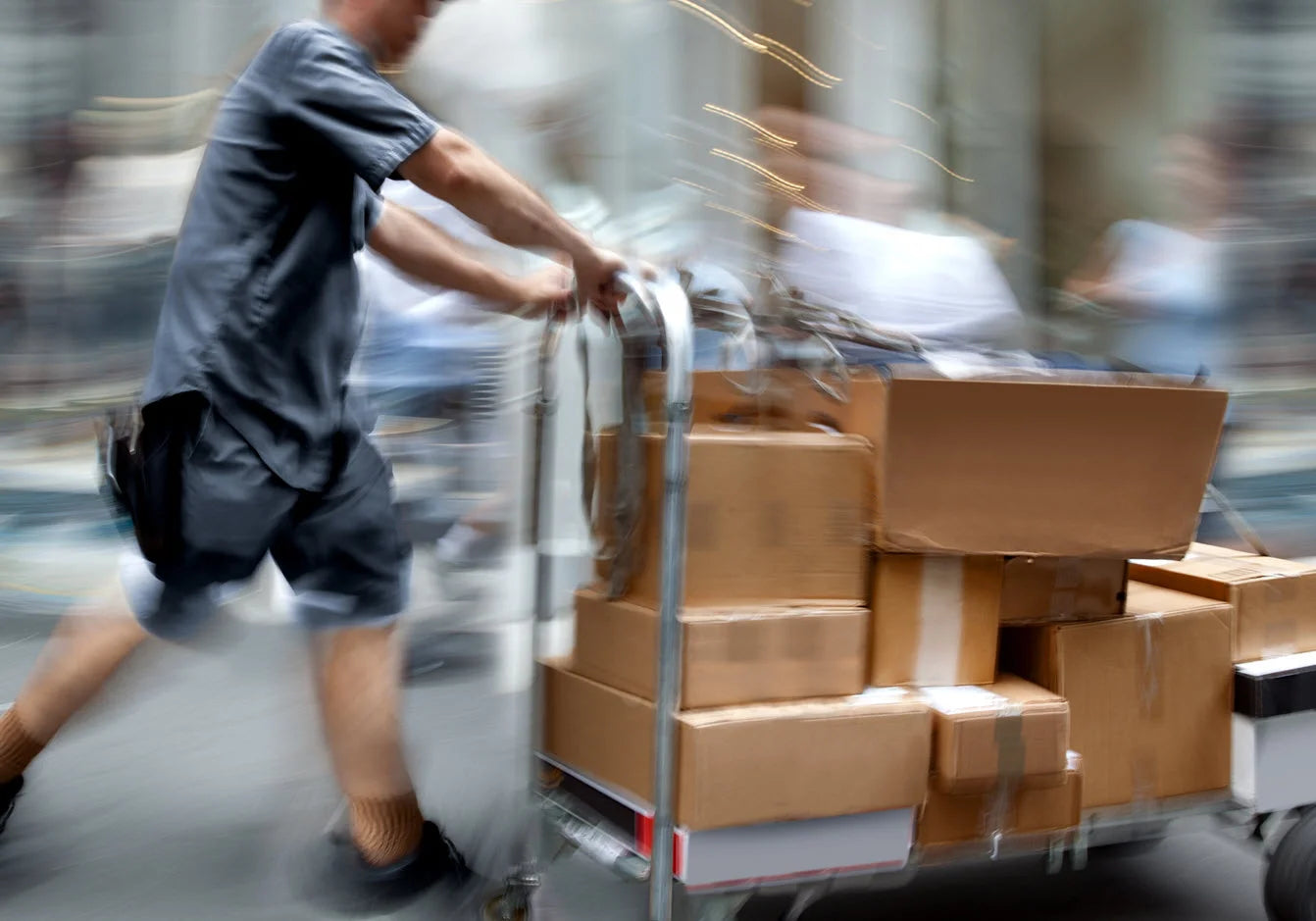 Delivery and Assembly