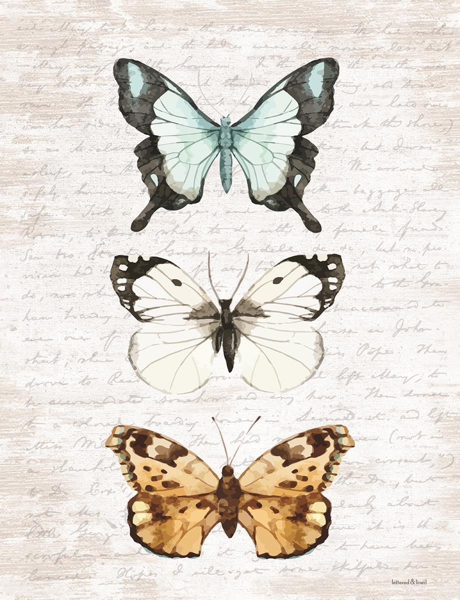Framed - Butterfly Trio By Lettered & Lined