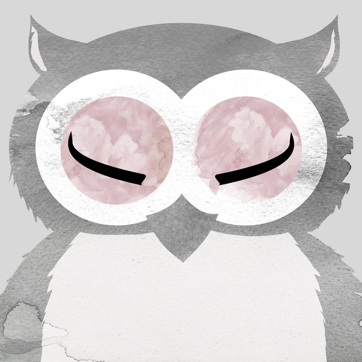 Framed Small - Owl By Daniela Santiago