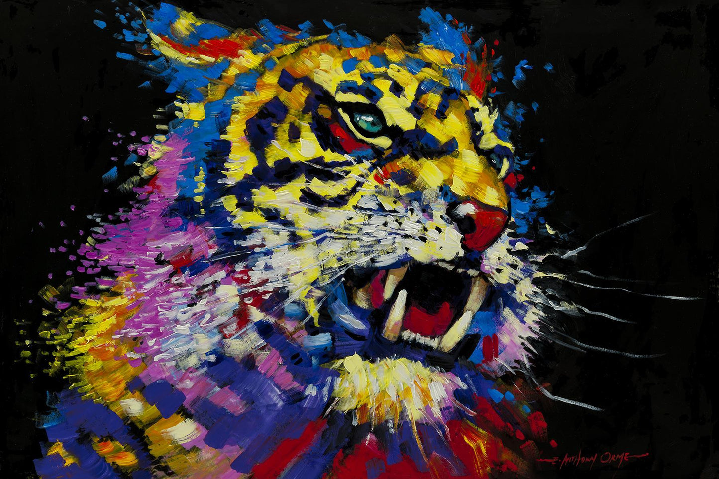 Framed Small - Tiger By E. Anthony Orme