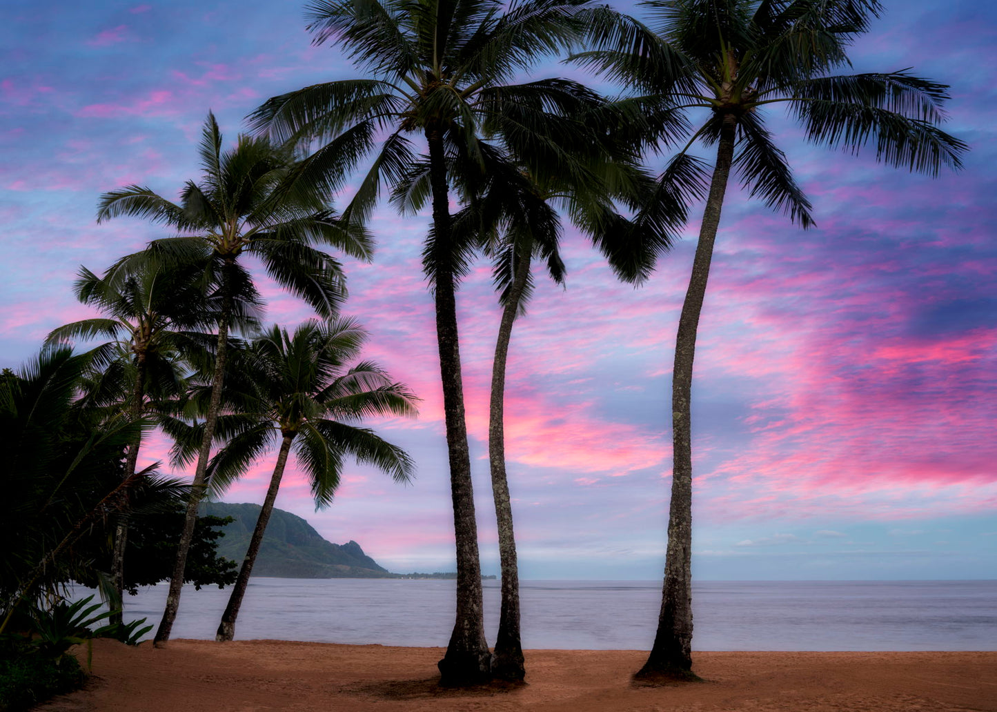 Framed Small - Pink Clouds By Dennis Frates