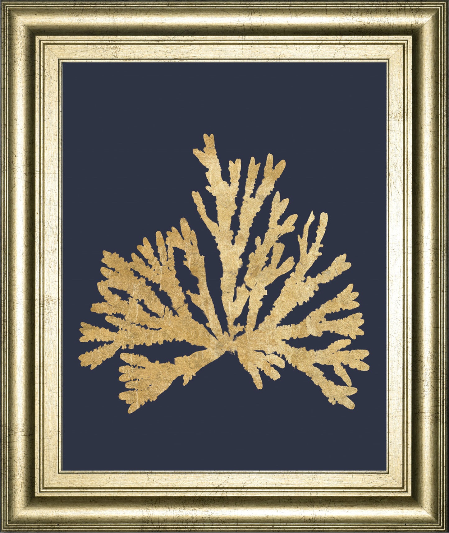 Pacific Sea Mosses IV Indigo By Wild Apple Portfolio - Framed Print Wall Art