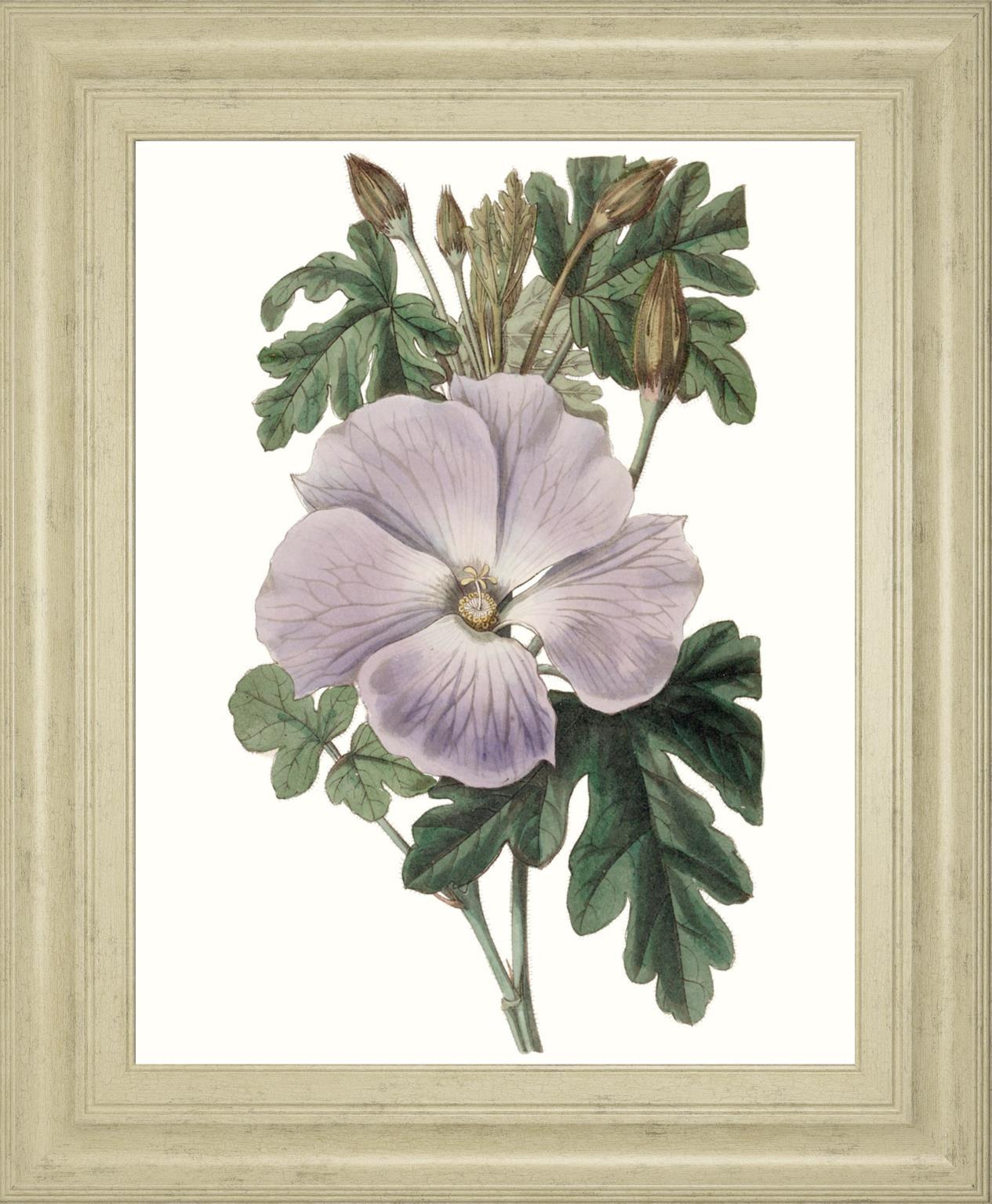 Lavender Beauties I By Edwards 22x26 - Purple