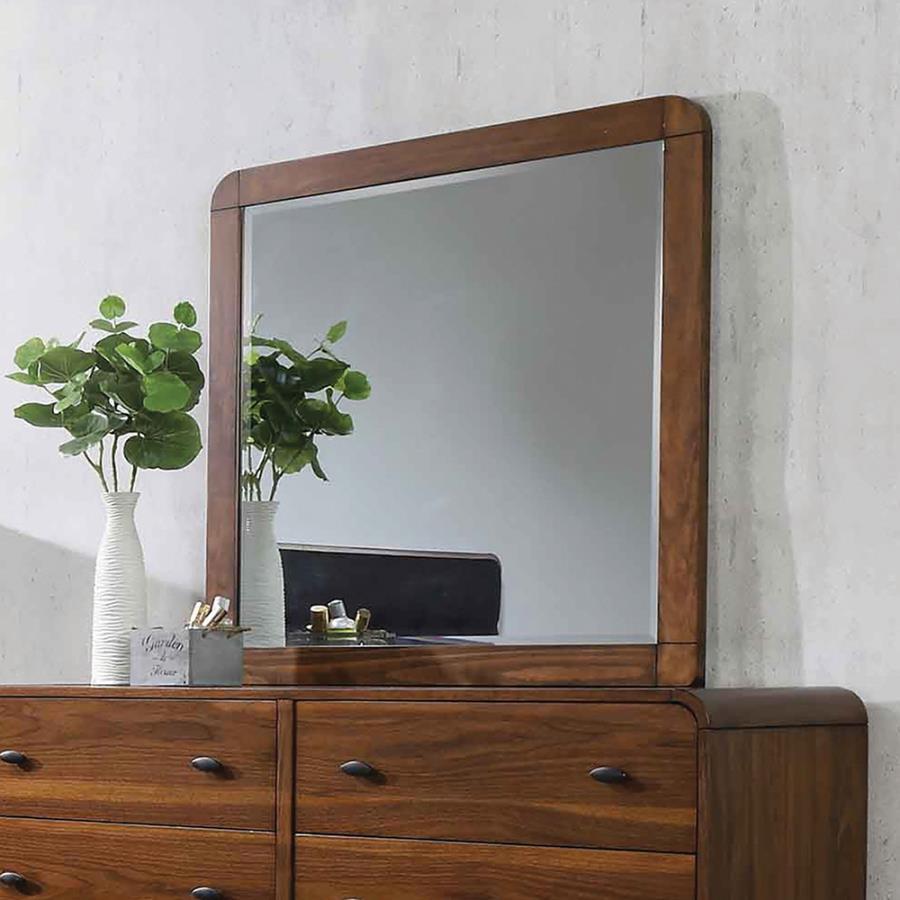 Robyn - Rectangular Mirror - Brown