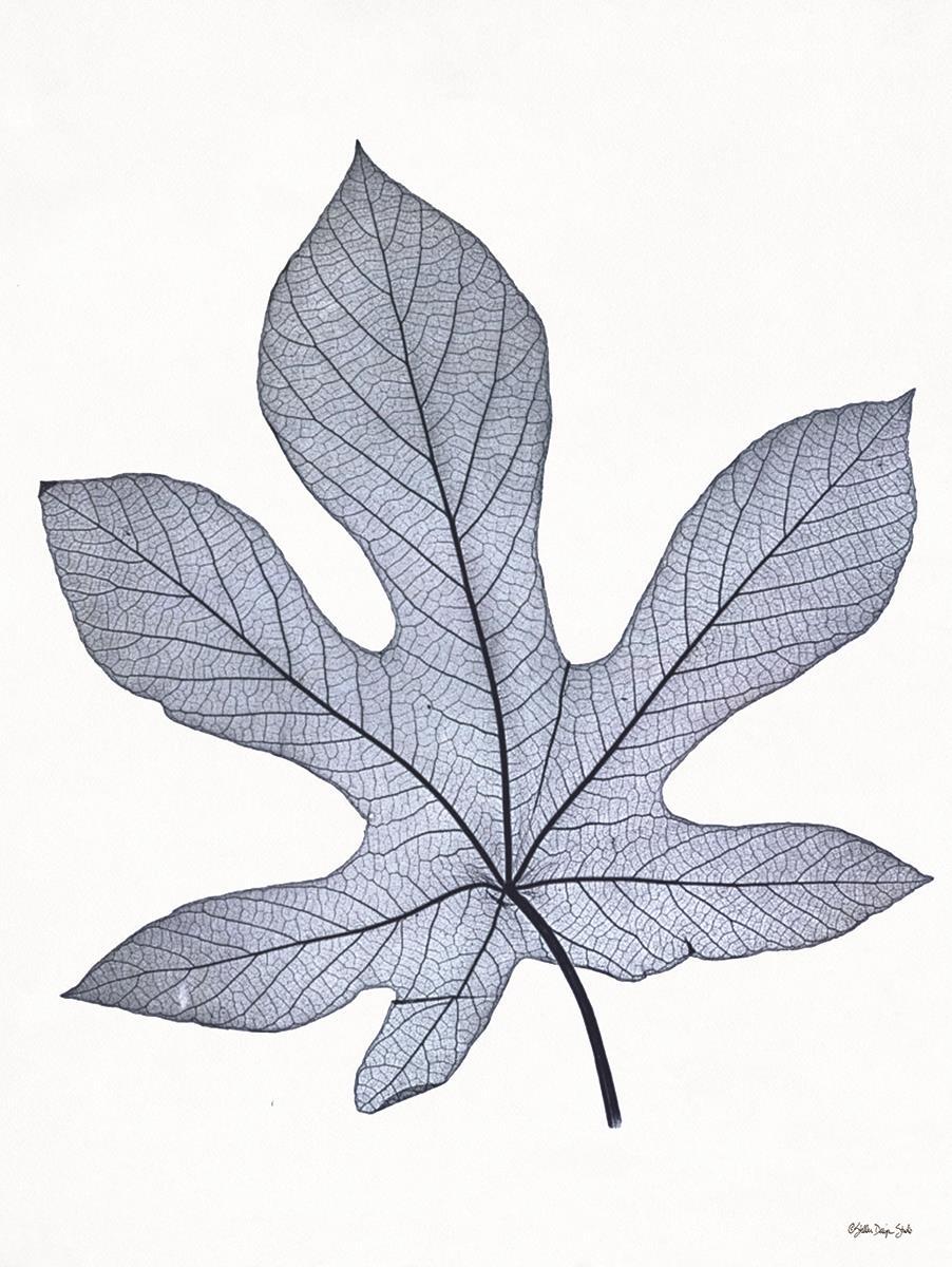 Framed Small - Indigo Nature Study IIi By Stellar Design Studio