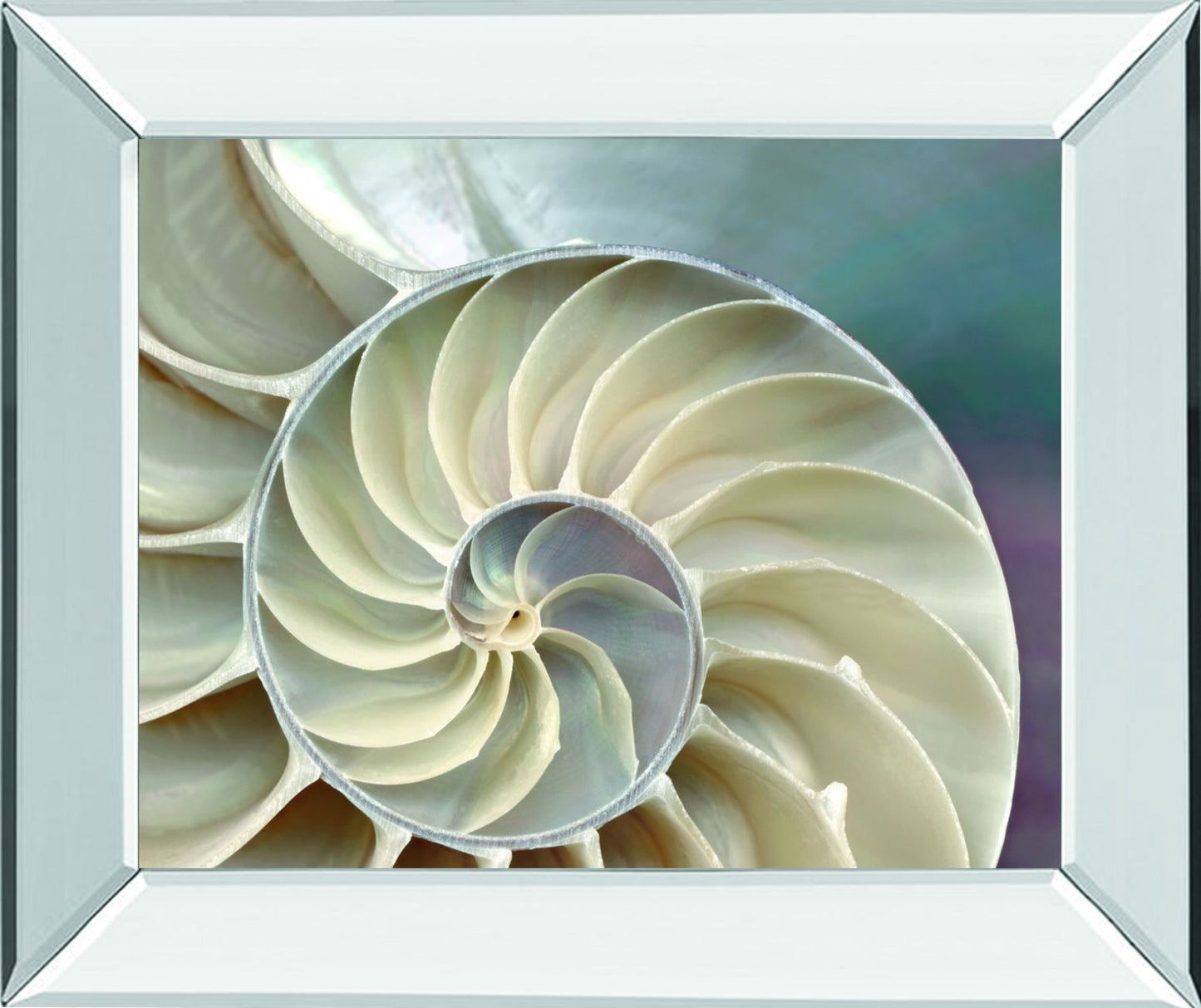 Nautilus By Levine, A. - Mirror Framed Print Wall Art