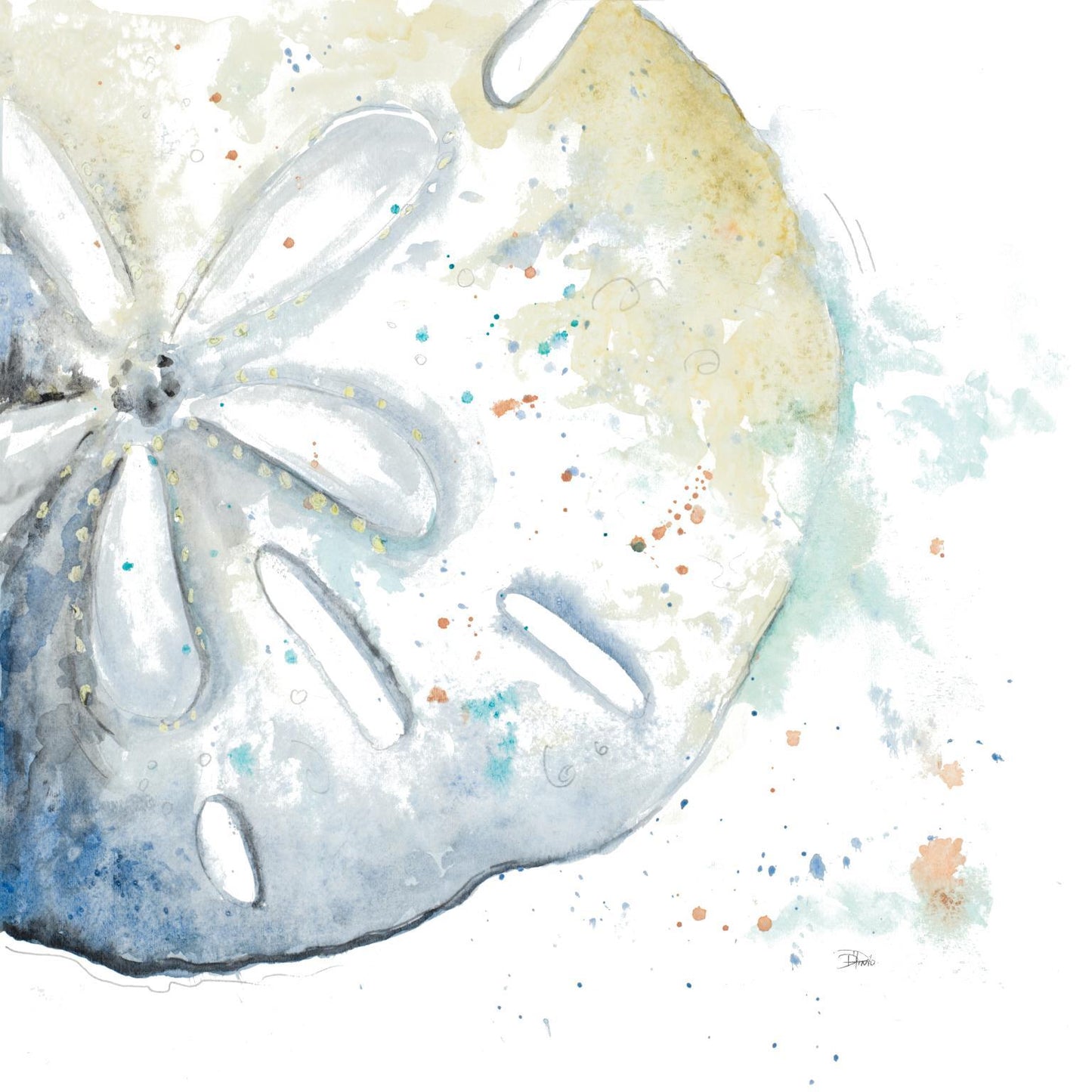 Framed - Water Sand Dollarpatriciapinto