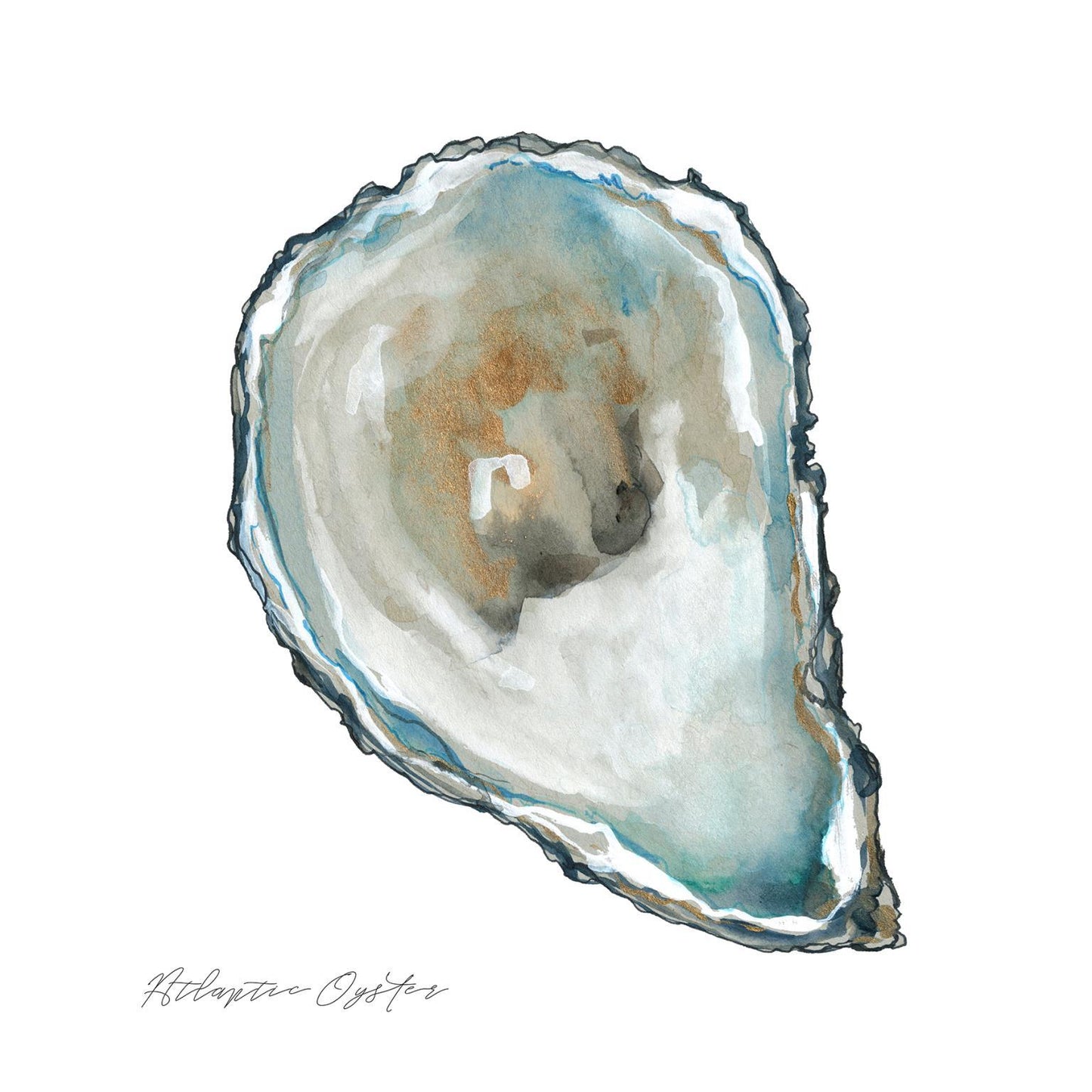 Framed Small - Atlantic Oyster By Carol Robinson