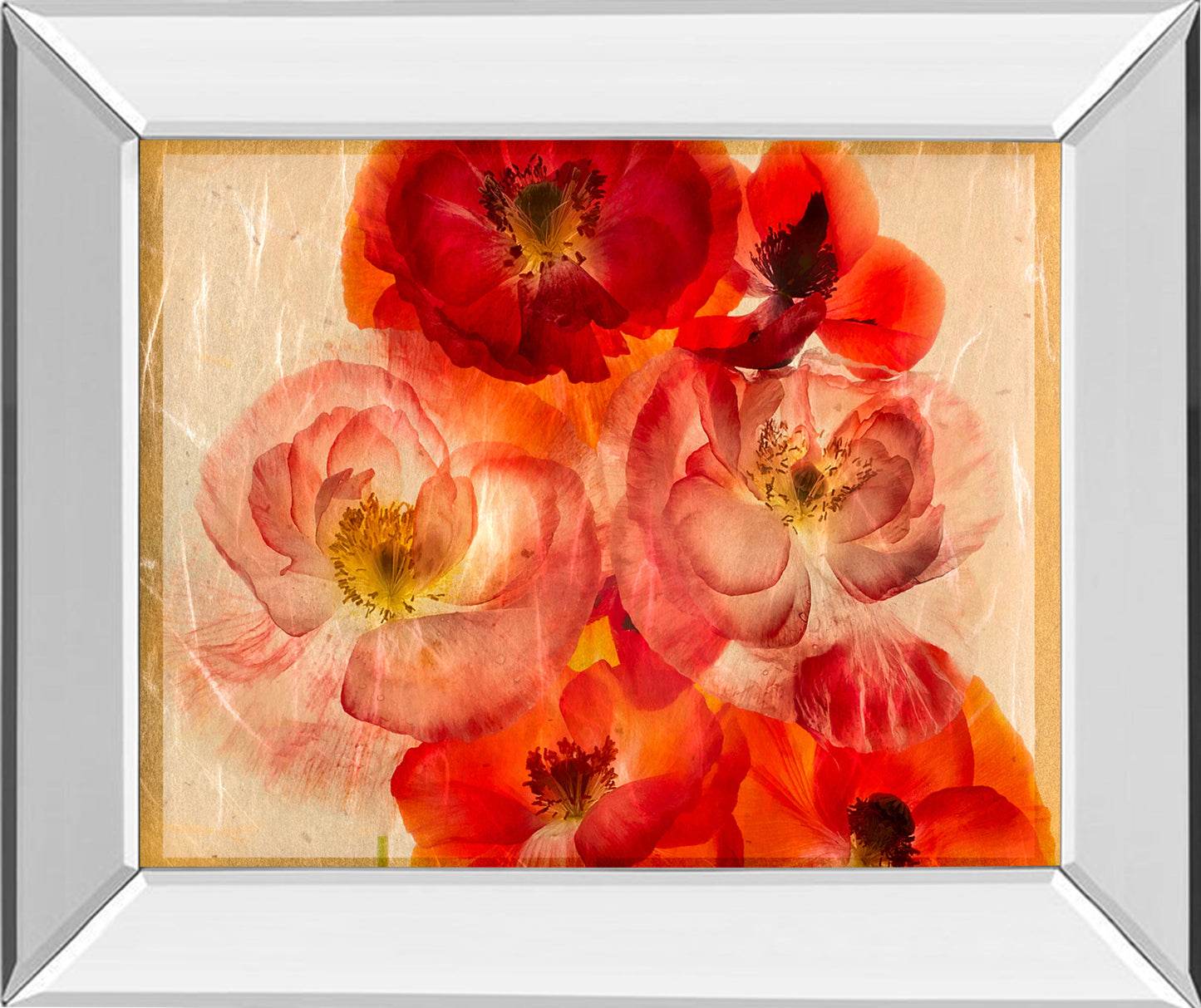 Papaver Dreams I By Harold Davis - Mirror Framed Print Wall Art - Red
