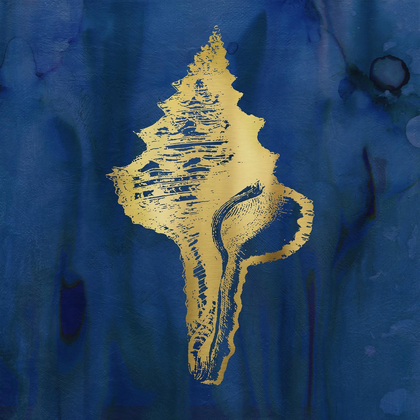 Indigo Sea Treasure I By Carol Robinson - 50 x 50 Wall Art - Blue