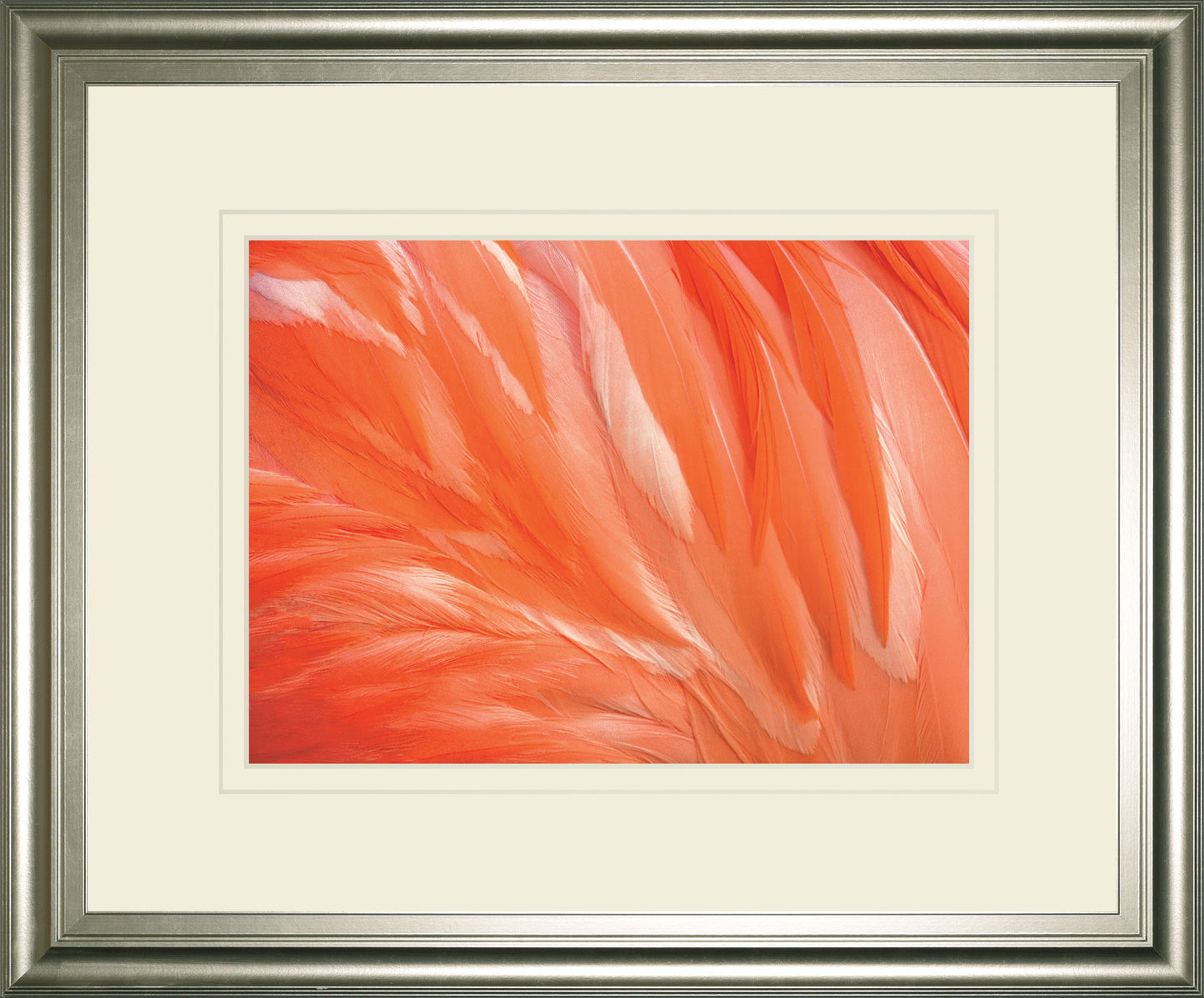 Danza De La Pluna By Ortegam X.