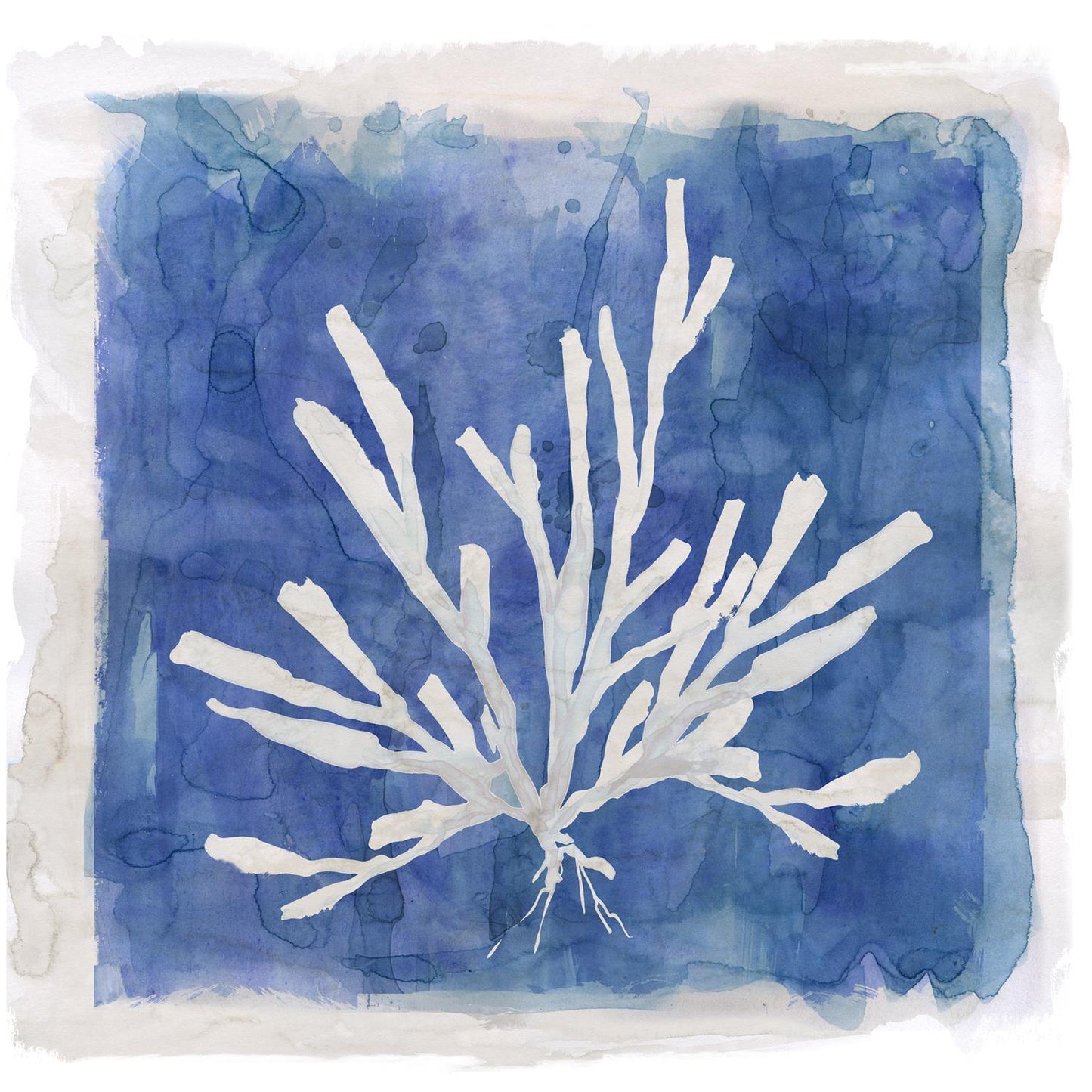 Framed - Coastal Washes Coral I By Carol Robinson