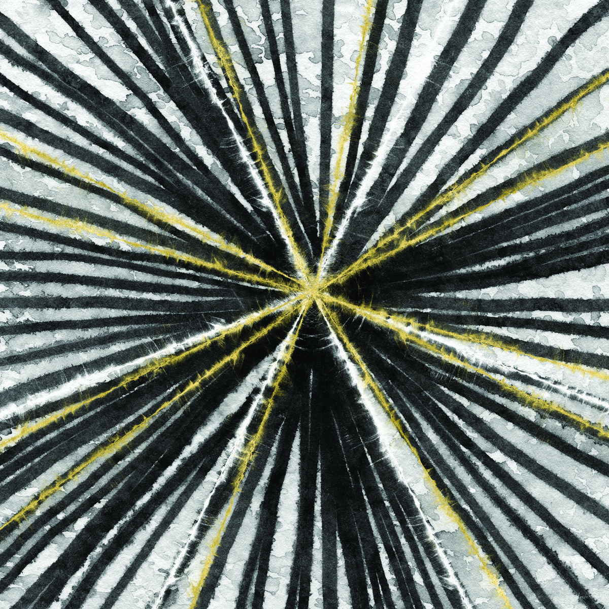 Framed Small - Black & Gold Spinning By Linda Woods