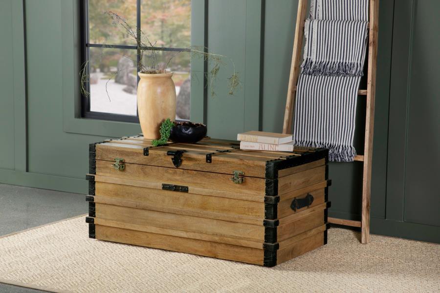 Simmons - Storage Trunk - Brown