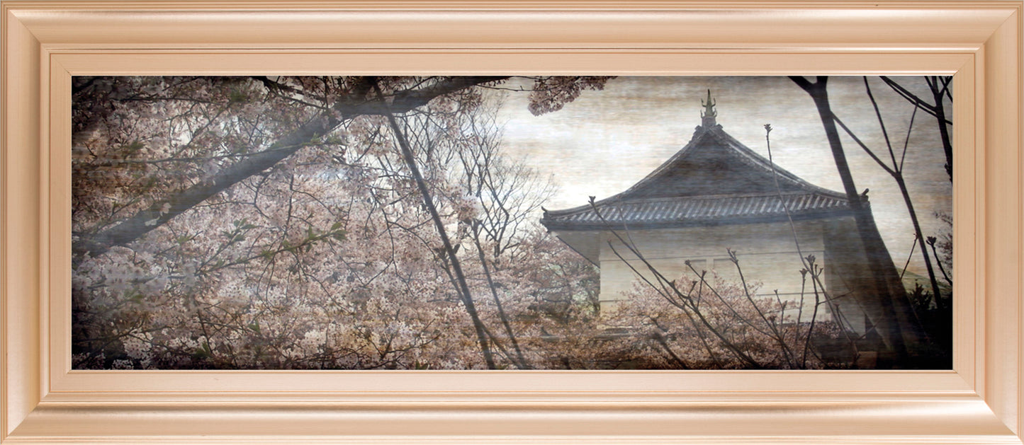 Cherry Blossom Garden By Tony Koukos - Dark Gray