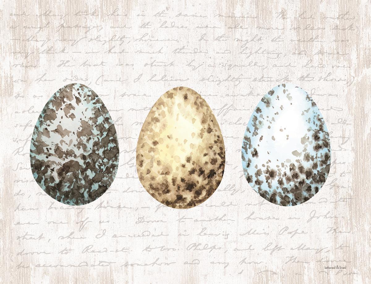 Framed Small - Speckled Eggs By Lettered & Lined