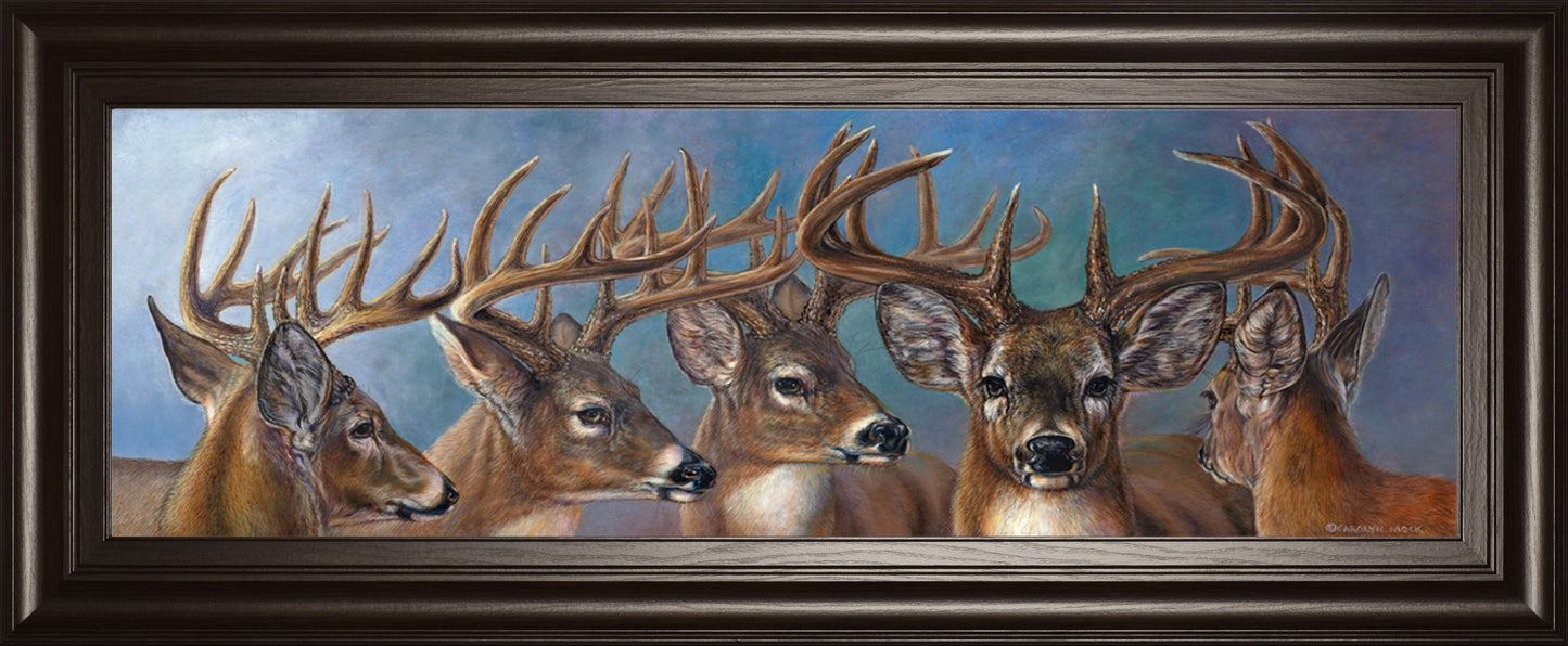 Five Bucks By Carolyn Mock - 18 x 42 Wall Art - Drak Brown