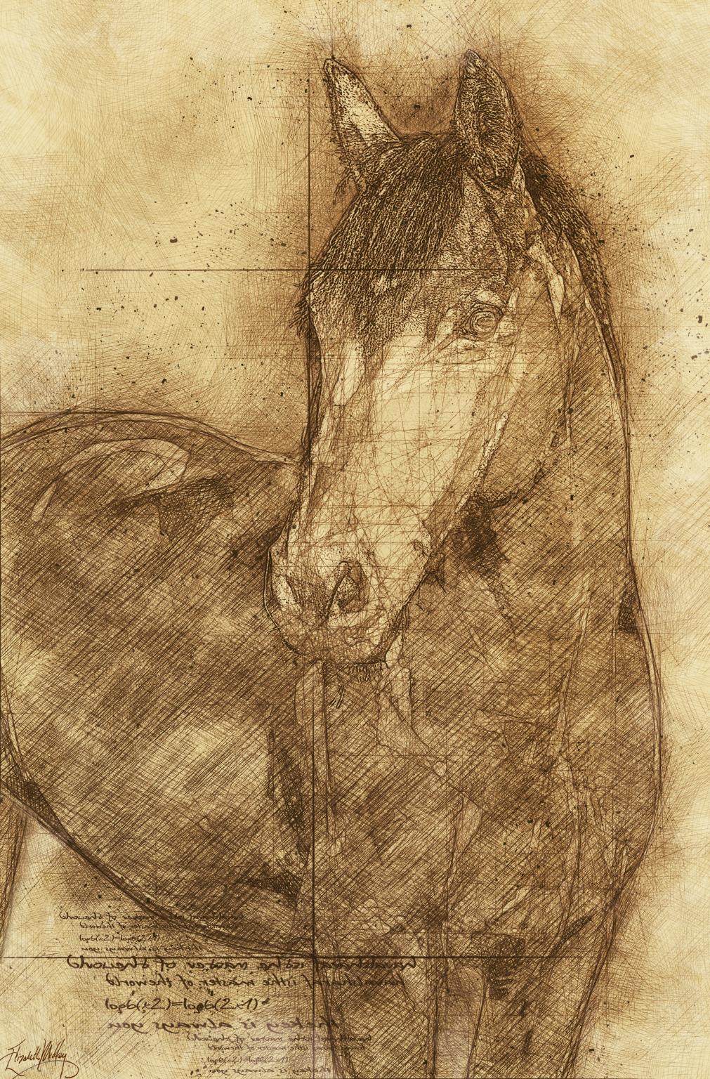 Framed Small - Sketched Horse By Elizabeth Medley