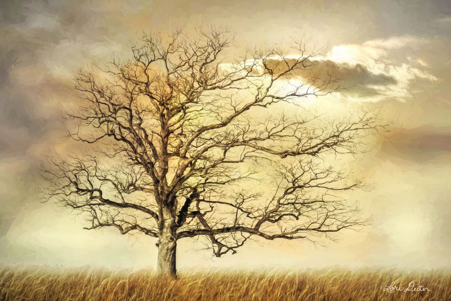 Framed Small - Golden Tree By Lori Deiter