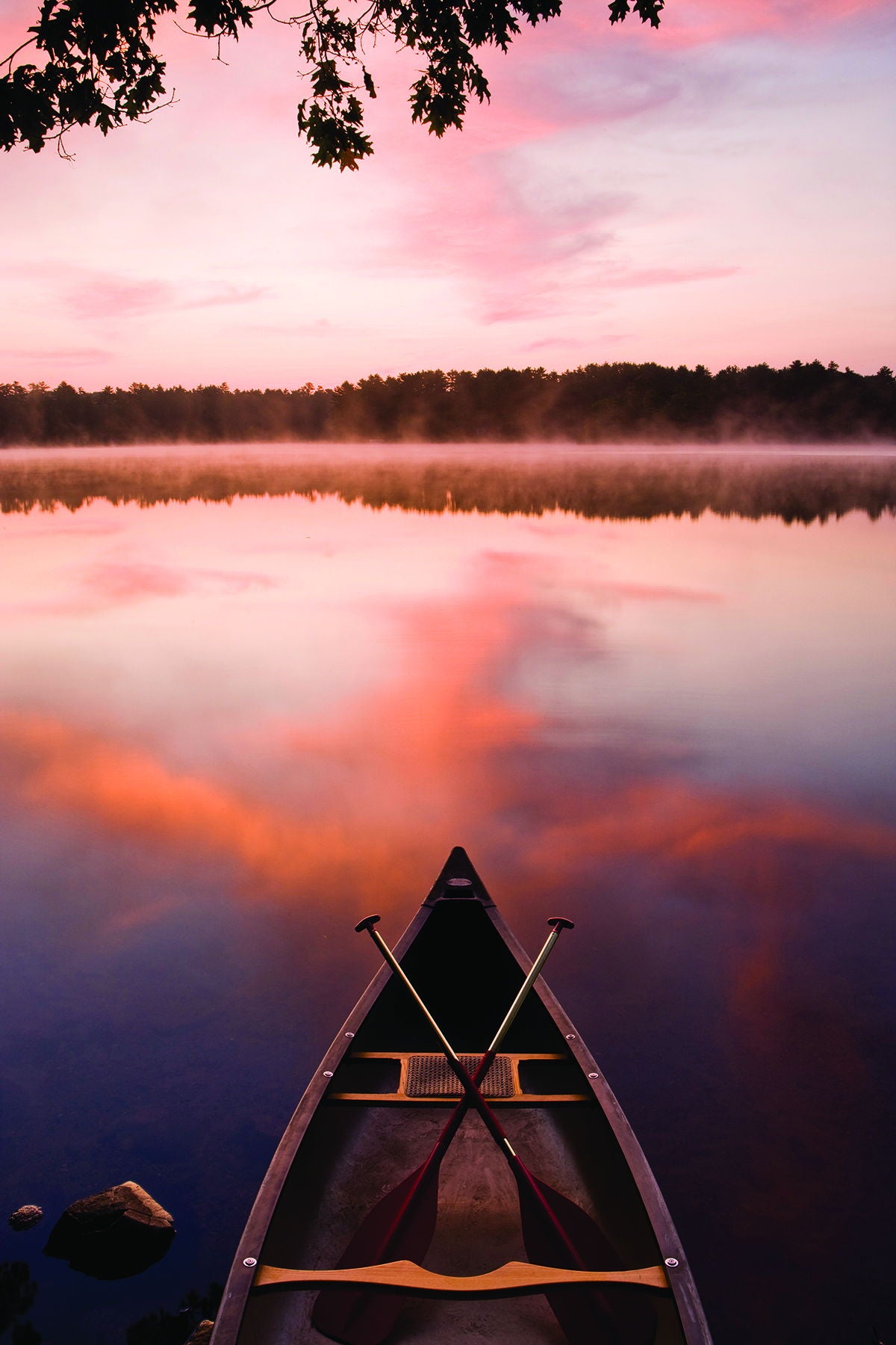 Framed Small - Lake At Dawn By Katrina Craven