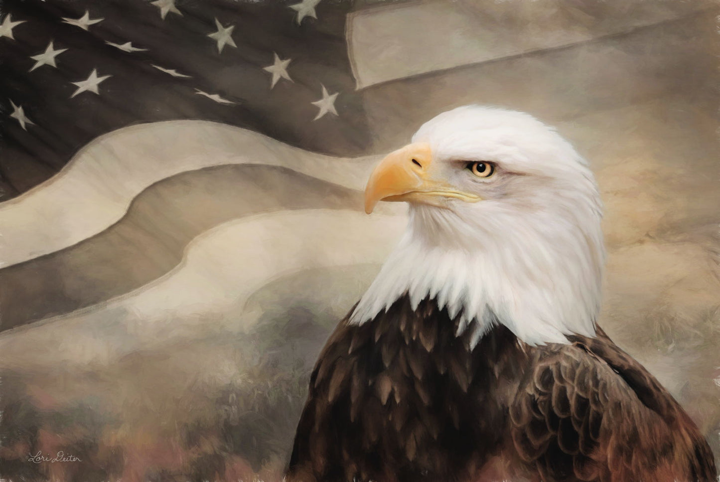 Framed - Us Symbols By Lori Deiter