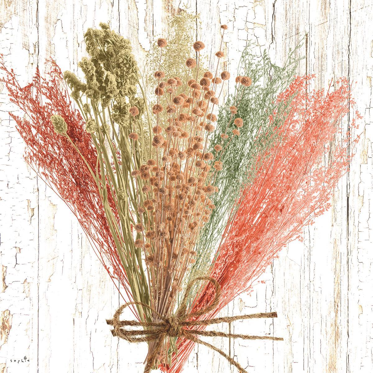 Framed - Earth Party I By Sophie Six