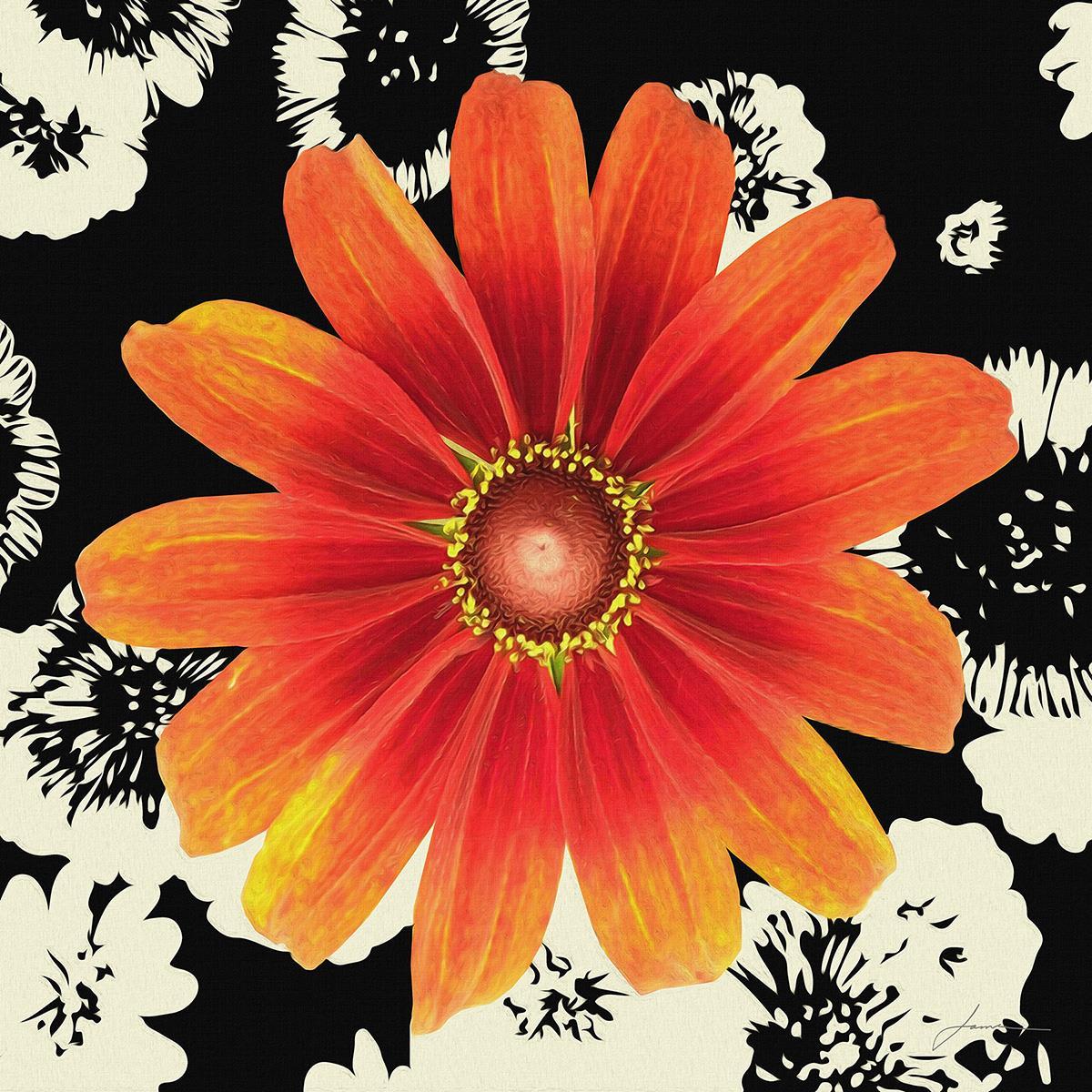 Framed - Black And Bloom II By James Burghardt