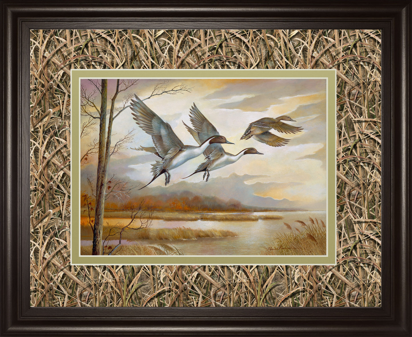 Pintails By Ruanne Manning