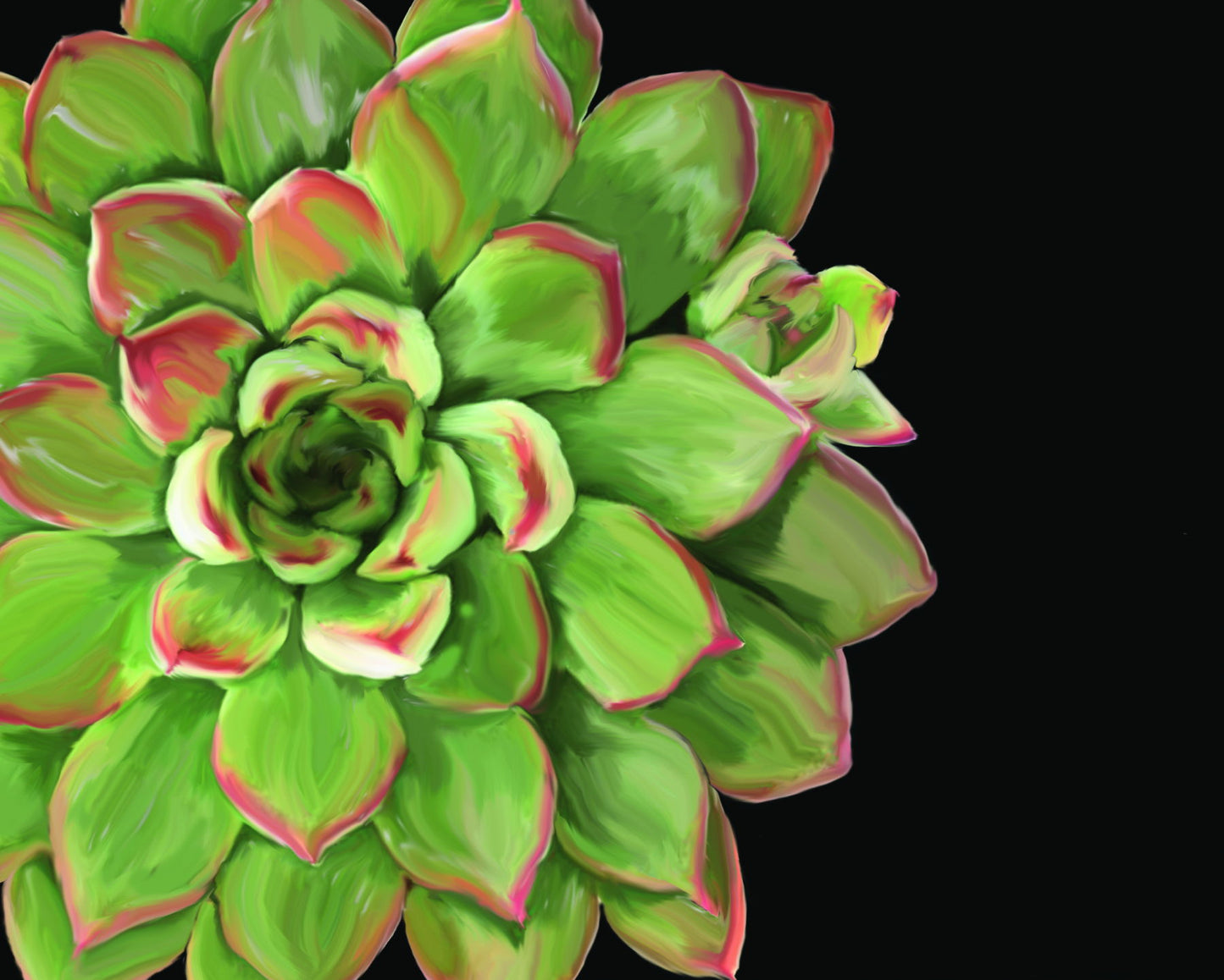 Framed Small - Succulent Elegans II By Jg Studios