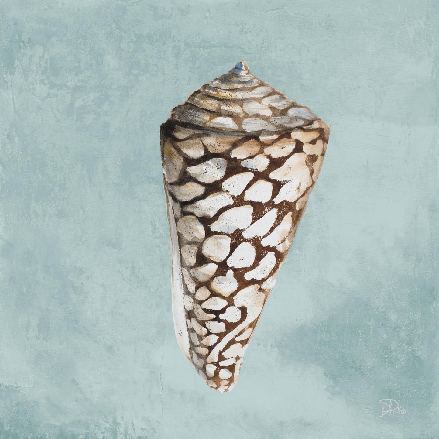 Framed - Modern Shell On Teal II By Patricia Pinto