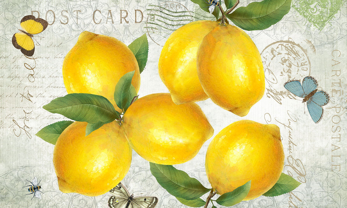 Framed Small - Postcard Lemons By K. Donovan
