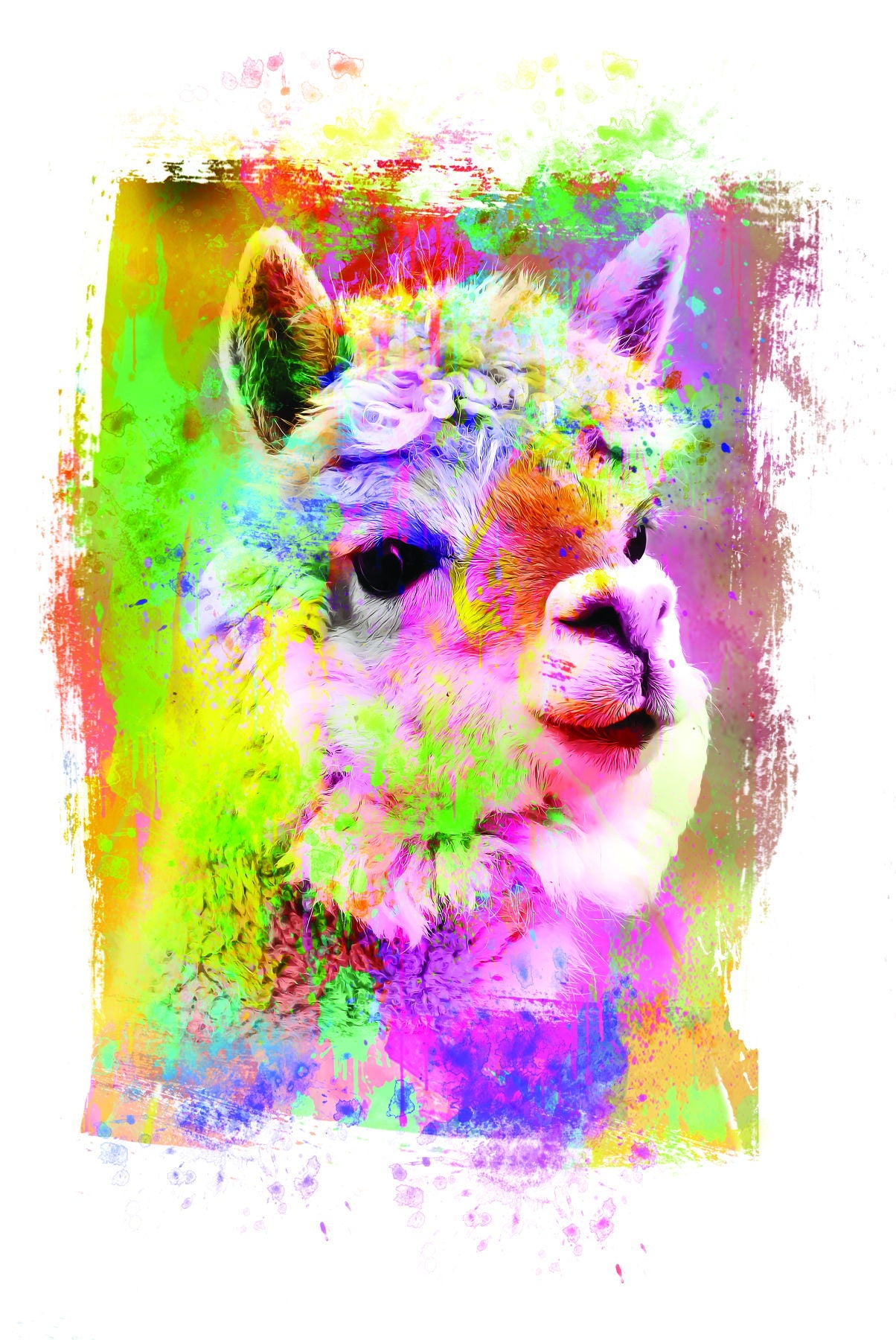 Framed Small - Rainbow Llama II By Jg Studios
