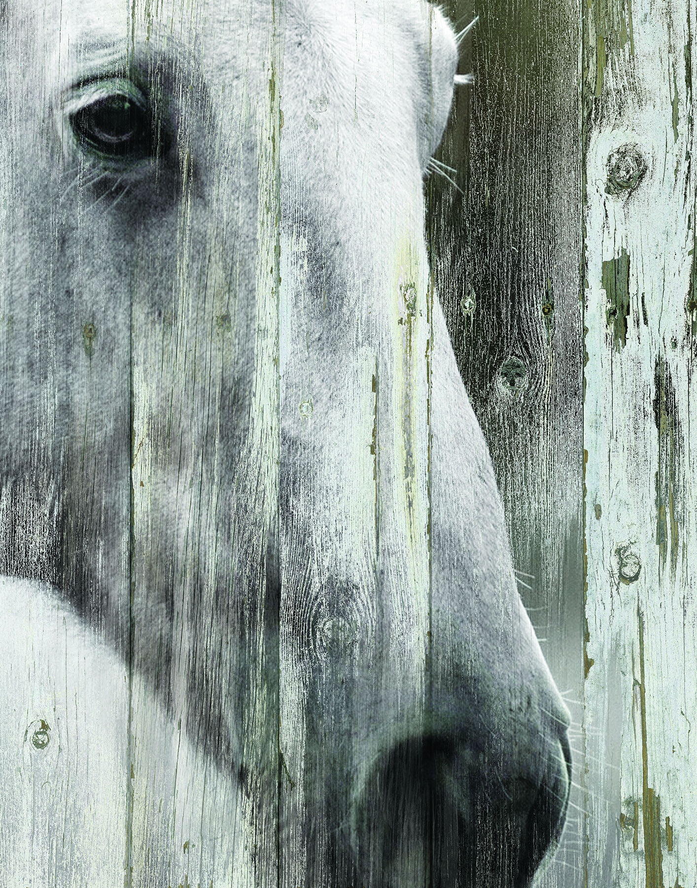 Framed - Contemplation By Carol Robinson