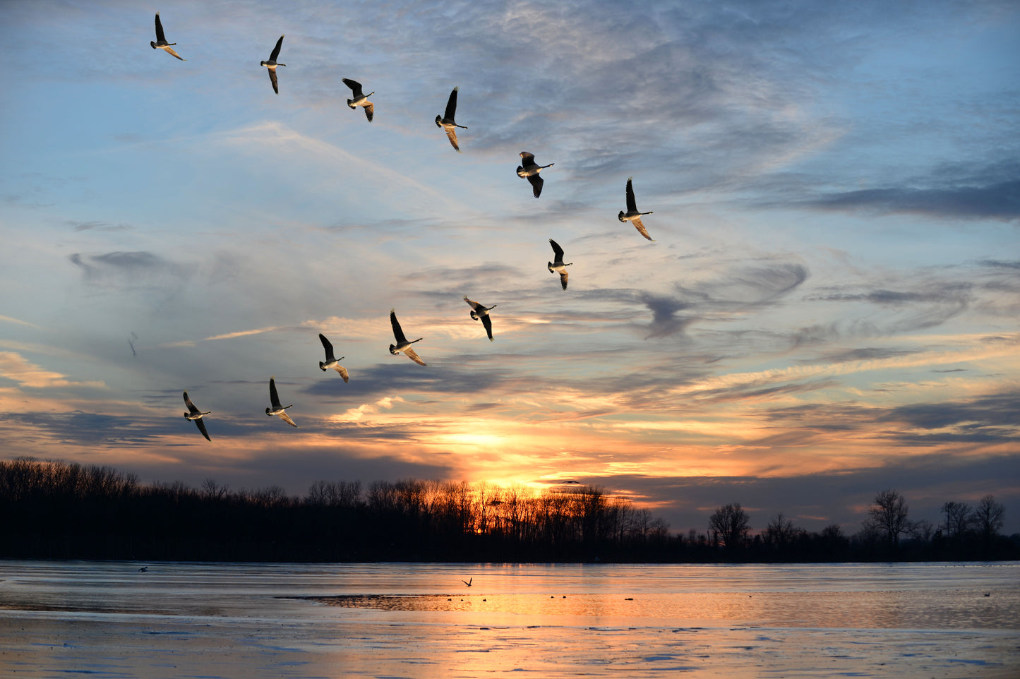 Framed Small - Migration