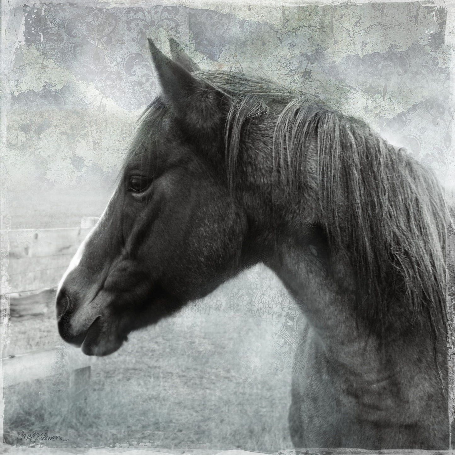 Framed Small - Vintage View II By Carol Robinson