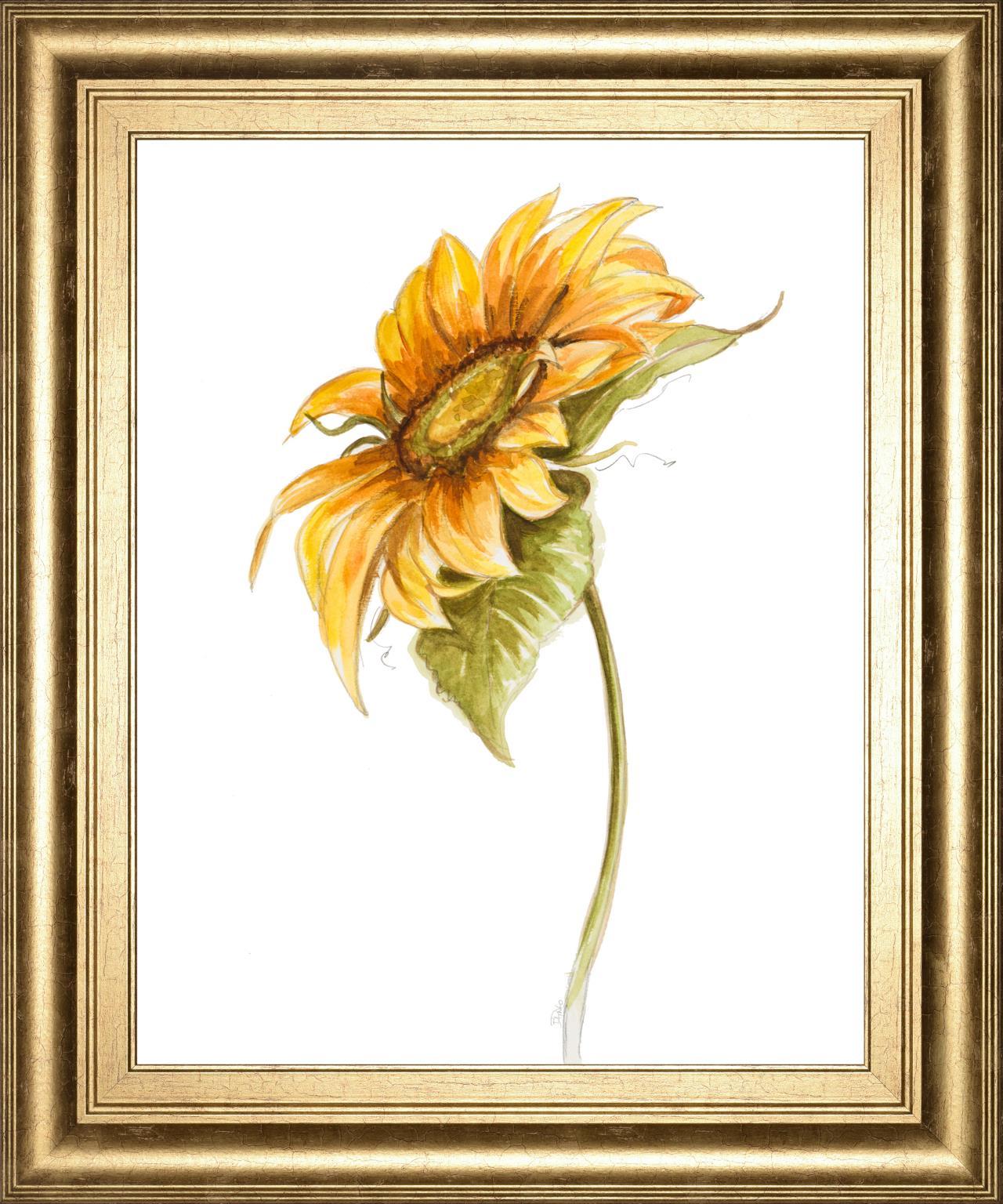 Harvest Gold Sunflower I By PatriciaPinto 22x26 - Yellow