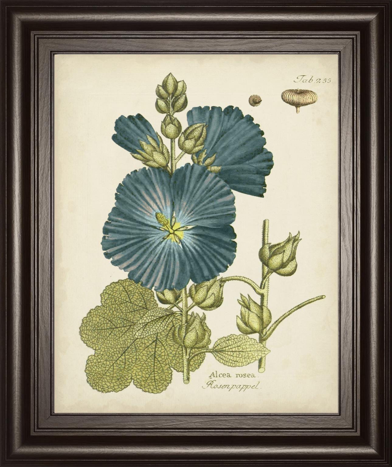 Eloquent Botanical IV By Vision Studio 22x26 - Blue