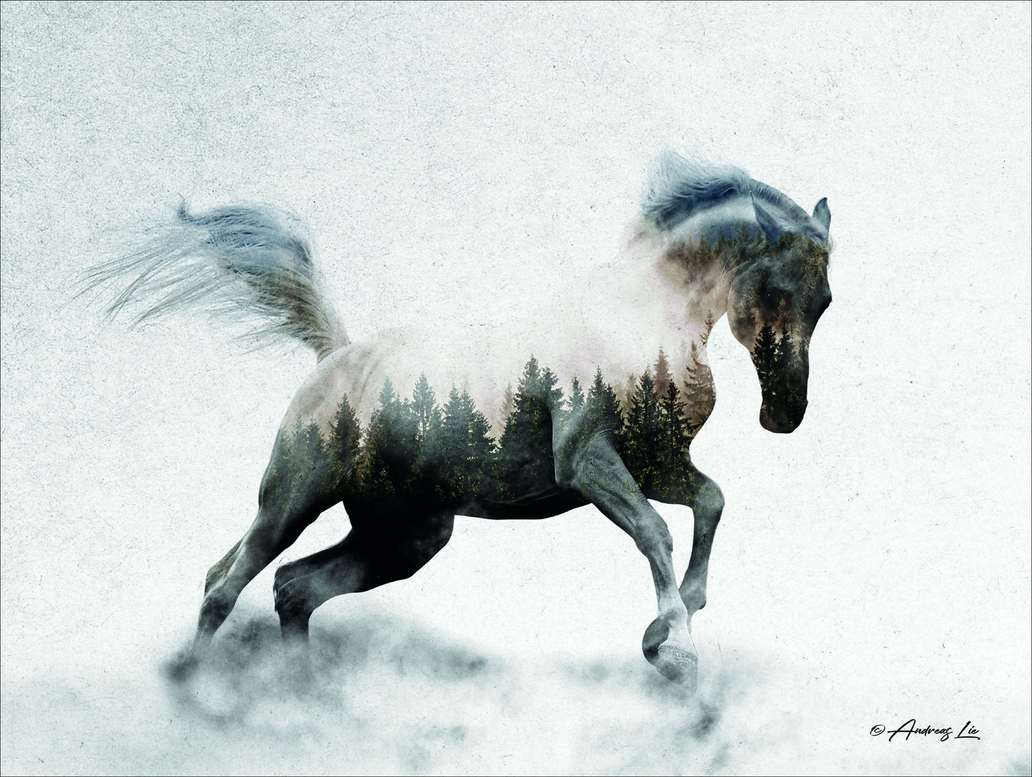 Framed - Running White Stallion By Andreas Lie