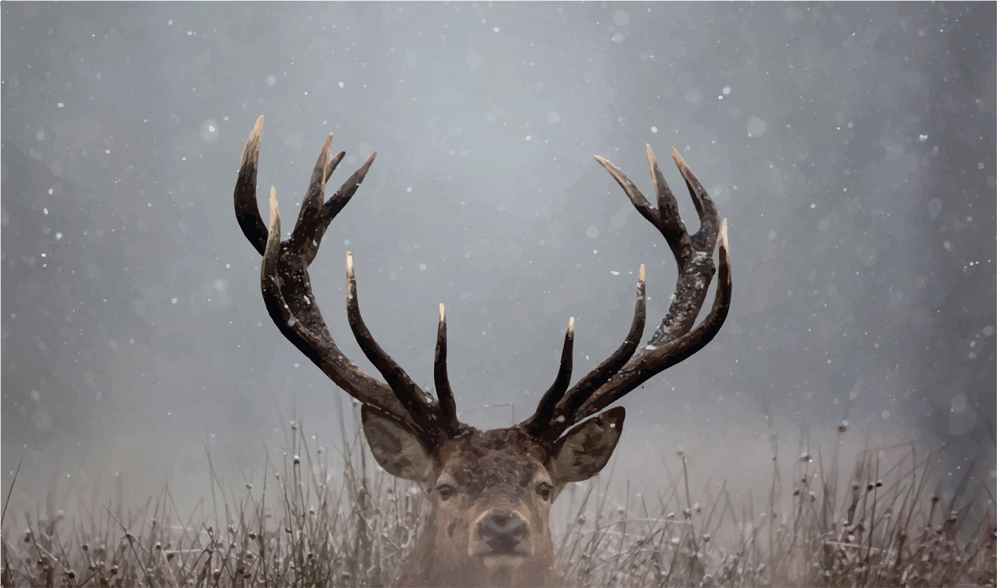 Framed Small - Pick A Boo By Waleed