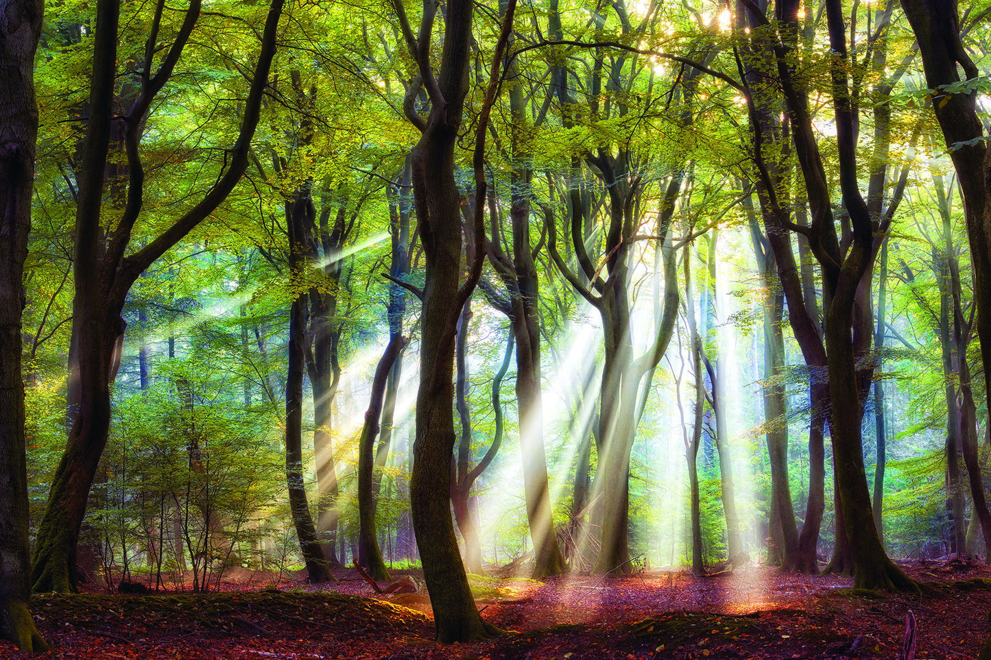 Framed Small - Majestic Morning By Lars Van De Goor