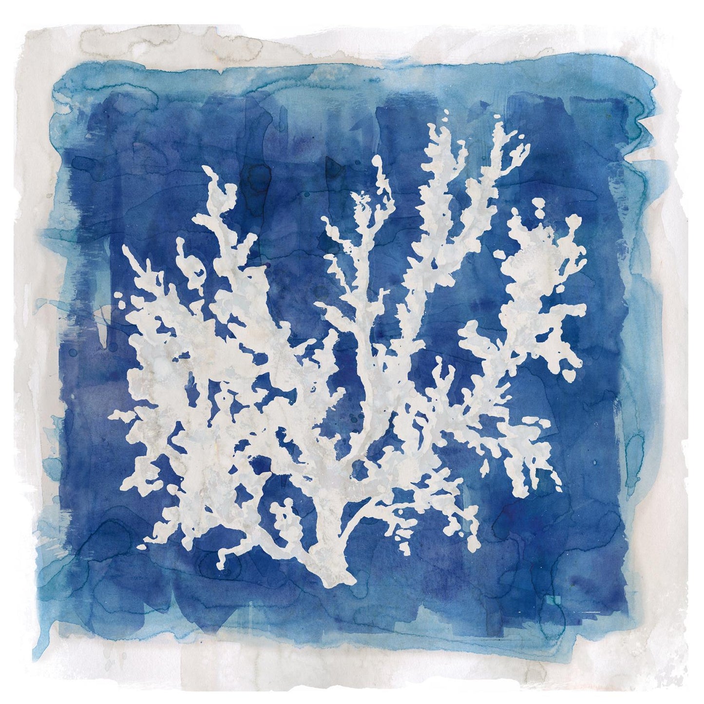 Framed - Coastal Washes Coral II By Carol Robinson