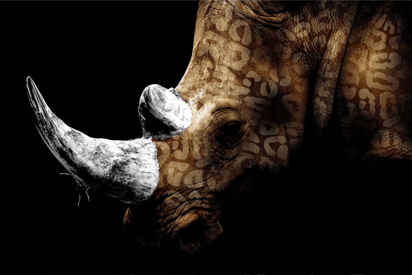 Floating Tempered Glass With Foil Rhinoceros 60 X 40