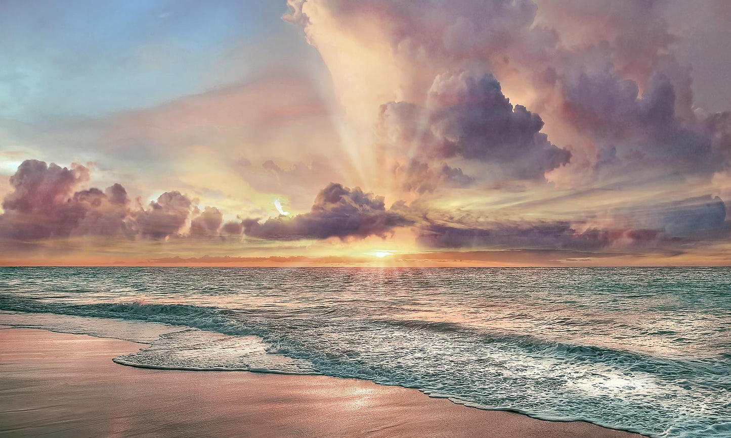Framed Small - Copper Beach By Mike Calascibetta
