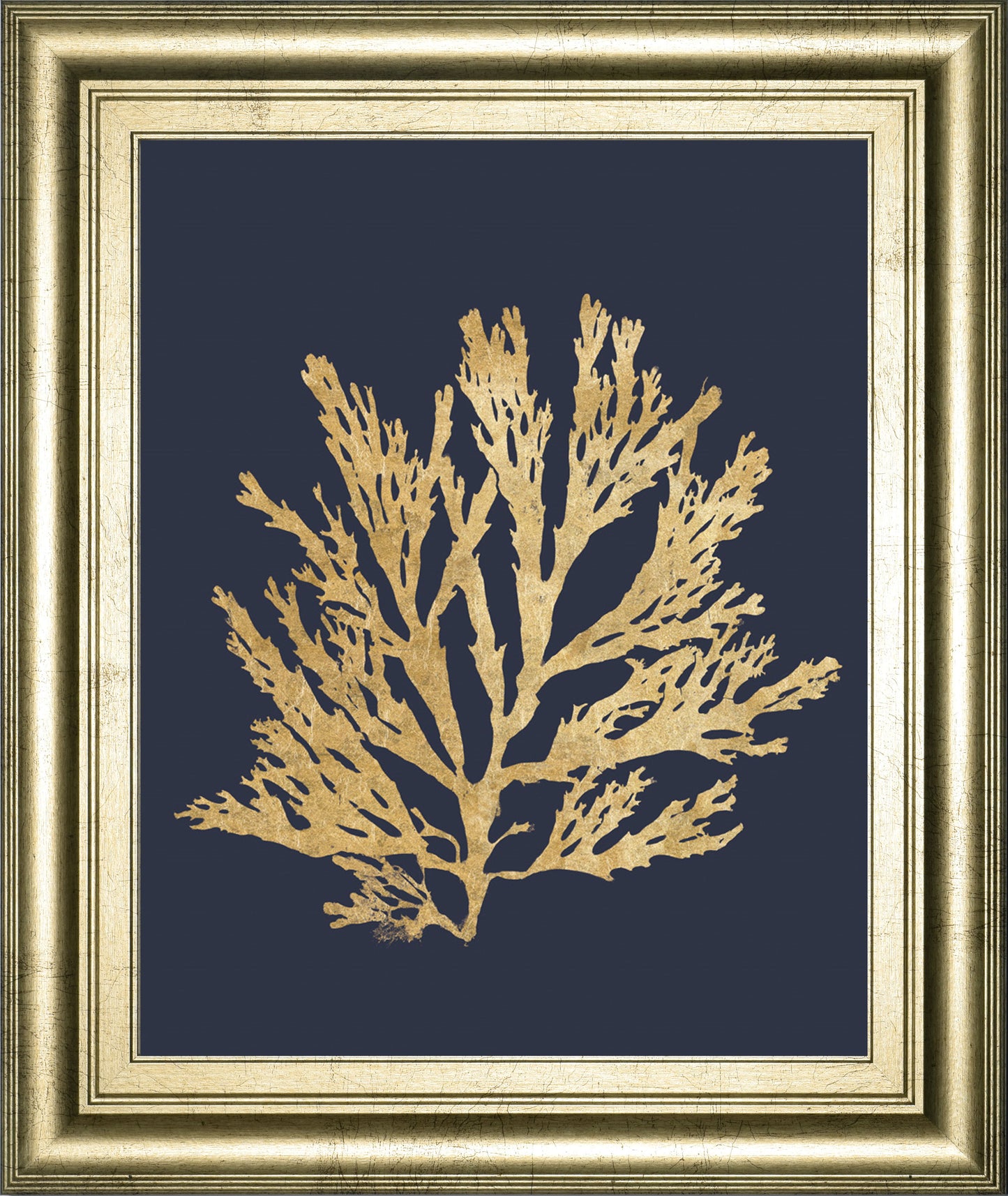 Pacific Sea Mosses I Indigo By Wild Apple Portfolio - Framed Print Wall Art