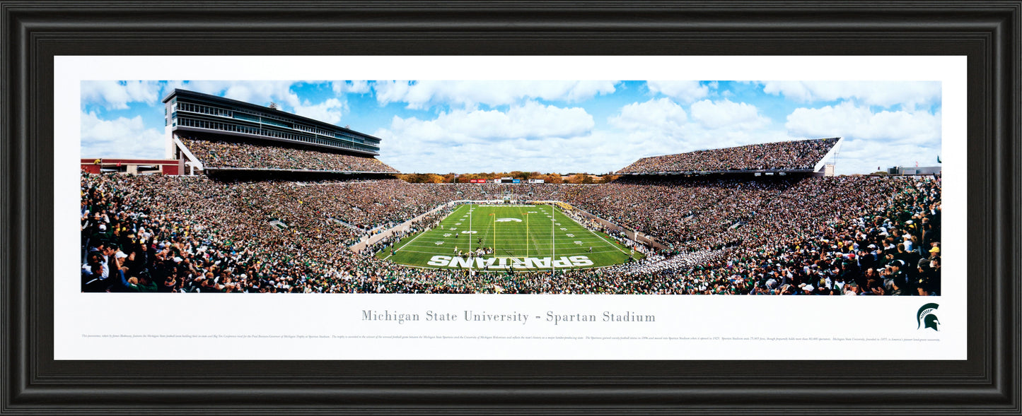 Michigan State #3 (end Zone)