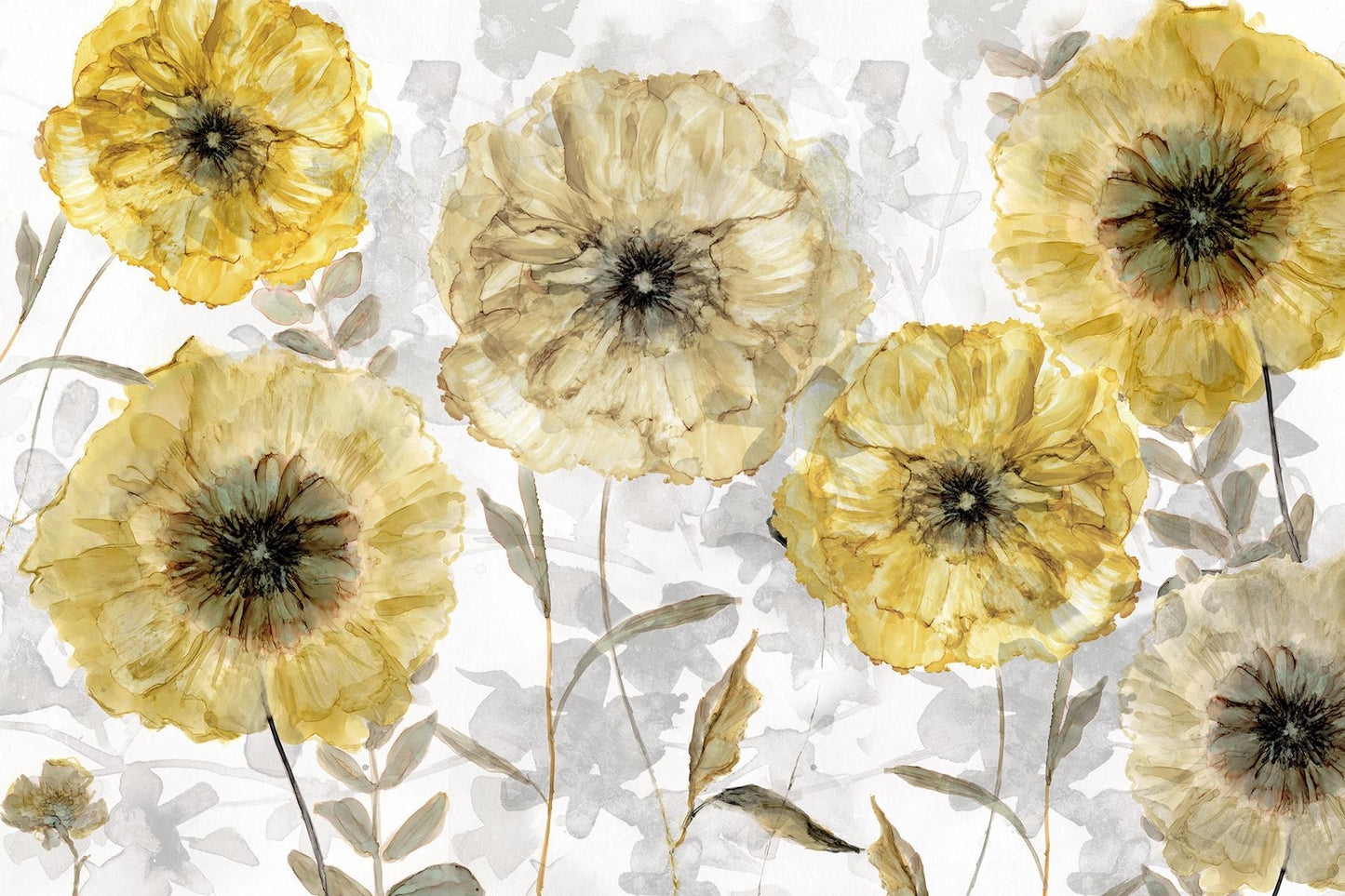 Framed - Magnolia Field By Carol Robinson