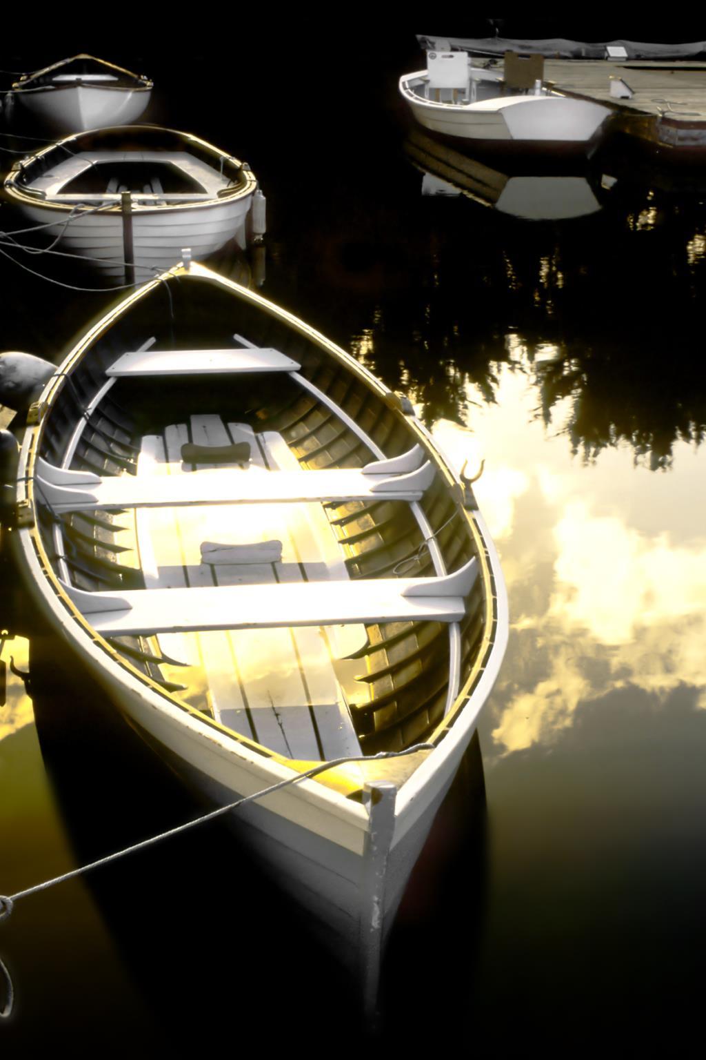 Framed - Morning Ready By Danita Delimont