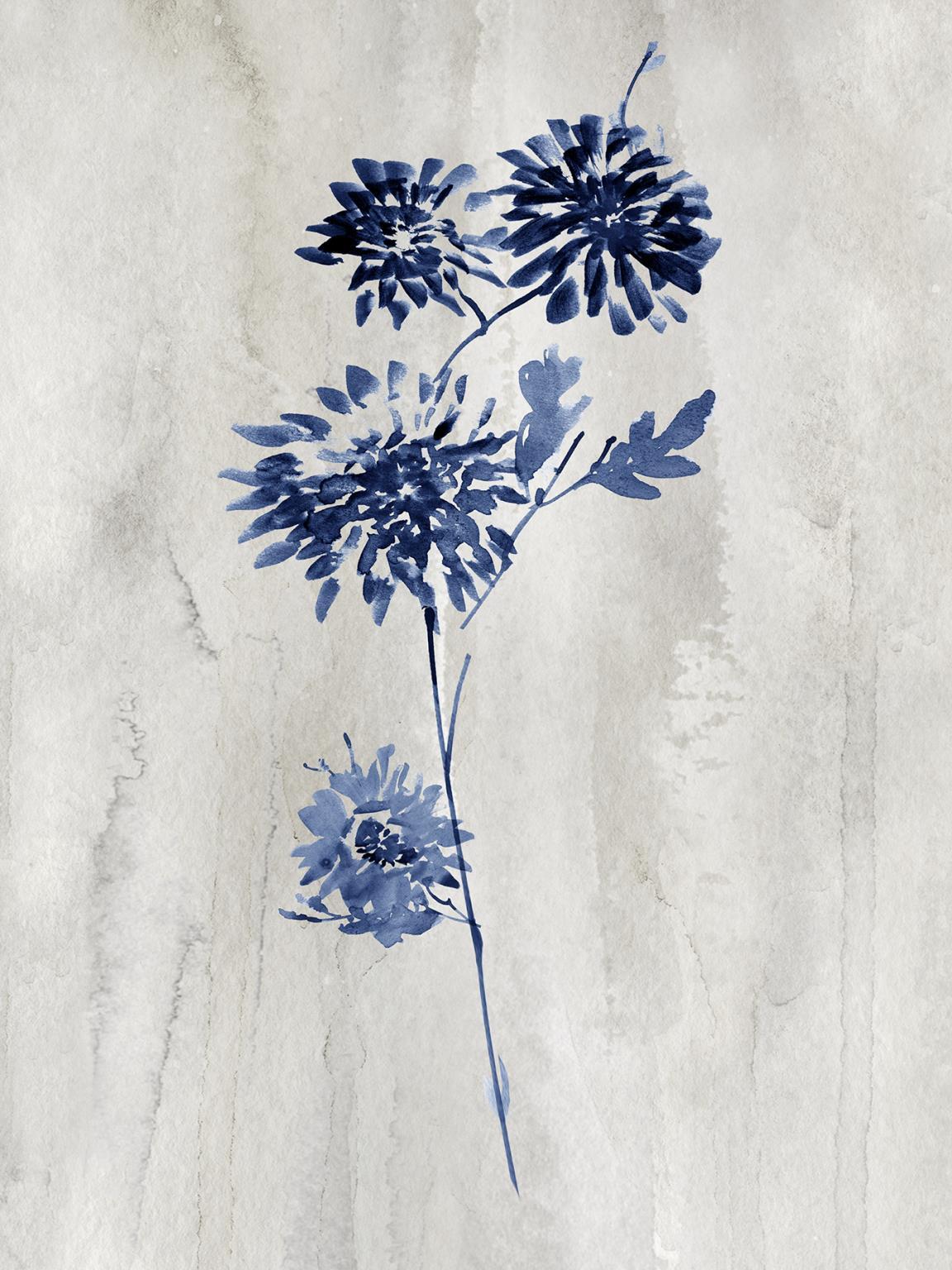 Framed - Indigo Botanical Iv By Conrad Knutsen