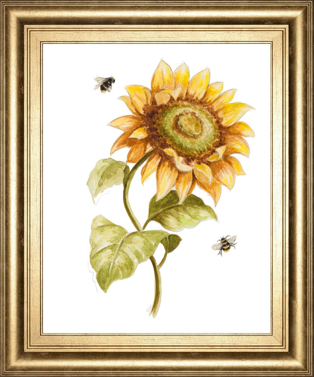 Harvest Gold Sunflower II By PatriciaPinto 22x26 - Yellow