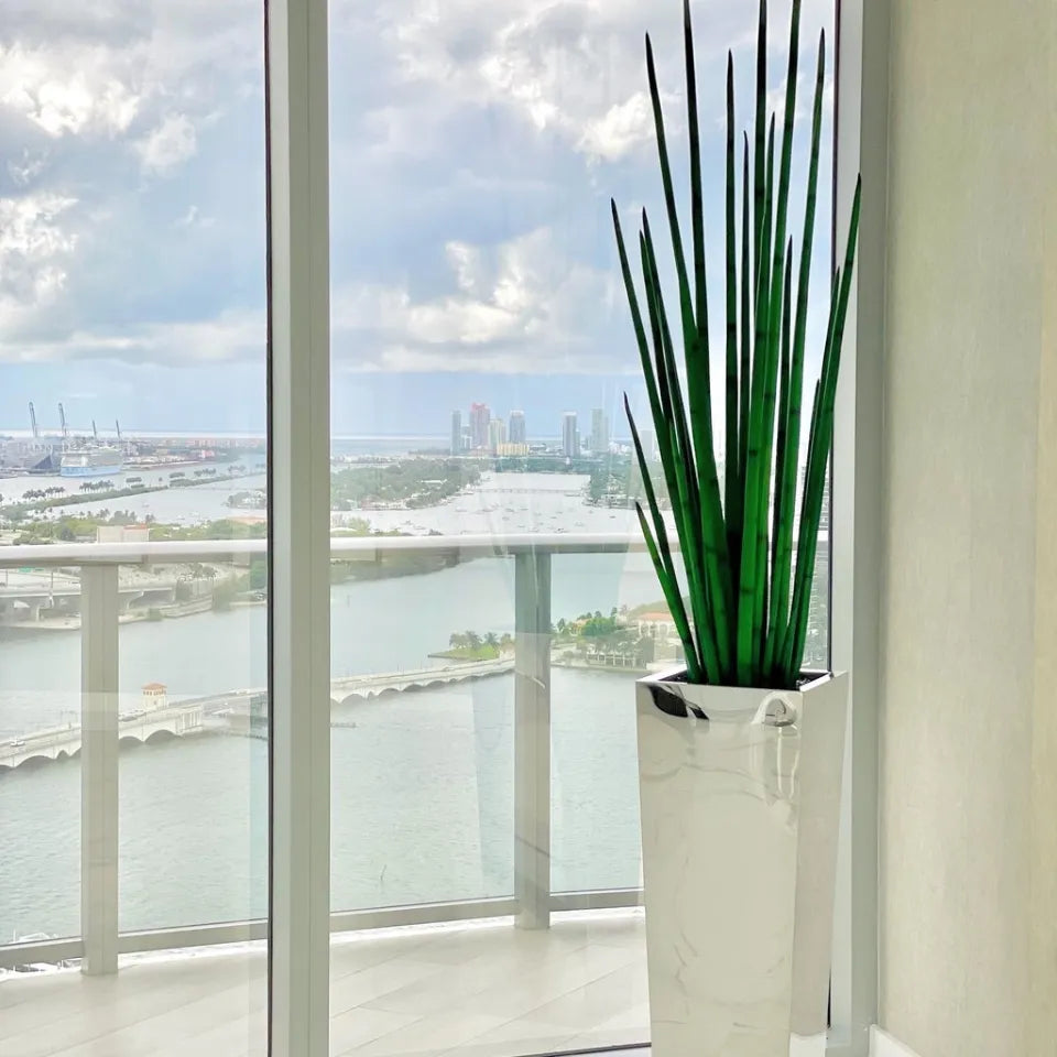 Stainless Steel Cube Planter with Snake Grass